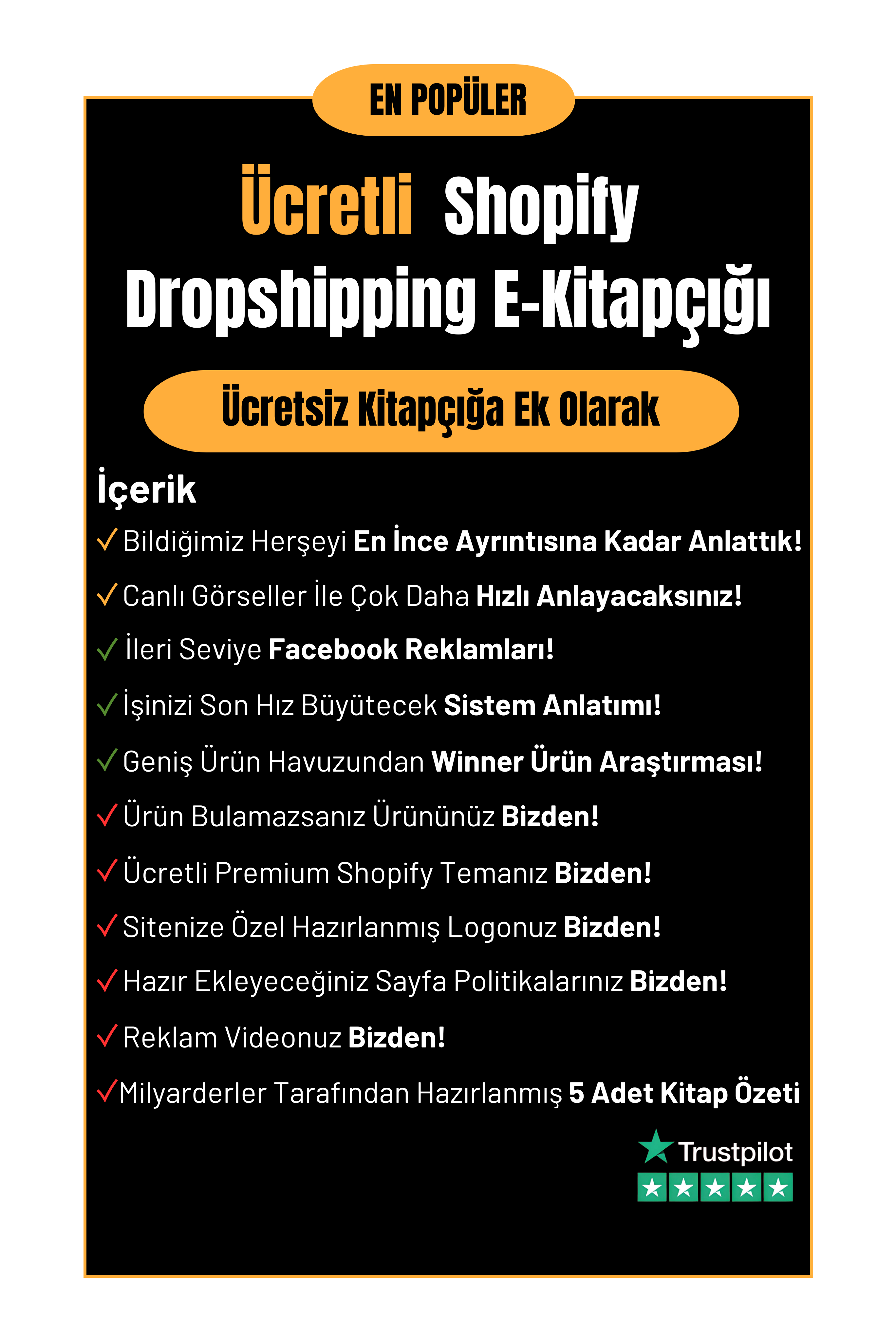 Dropshipping Koçu